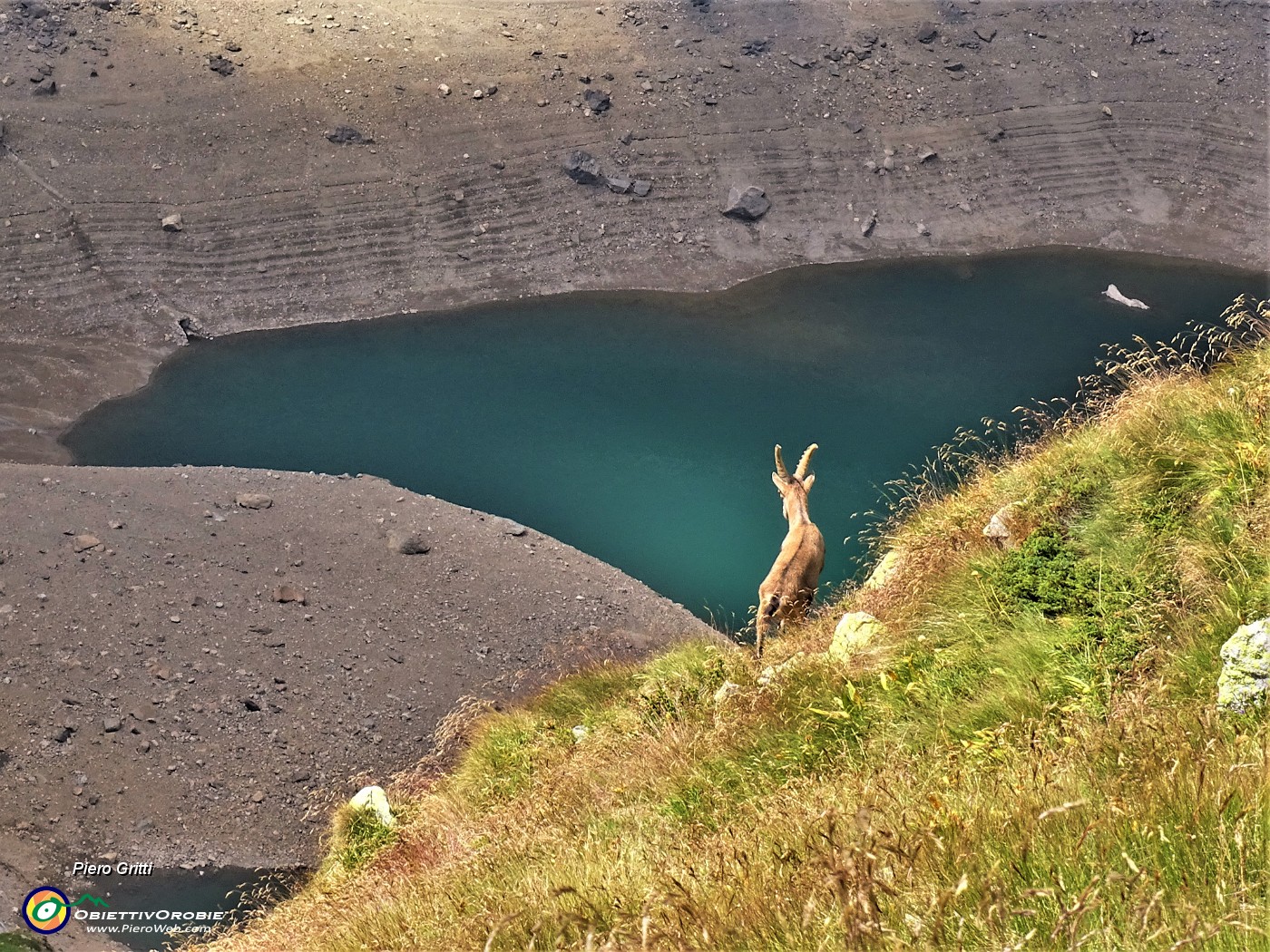63 Un secondo stambecco disceso sui dirupi sovrastanti il Lago del Diavolo.JPG